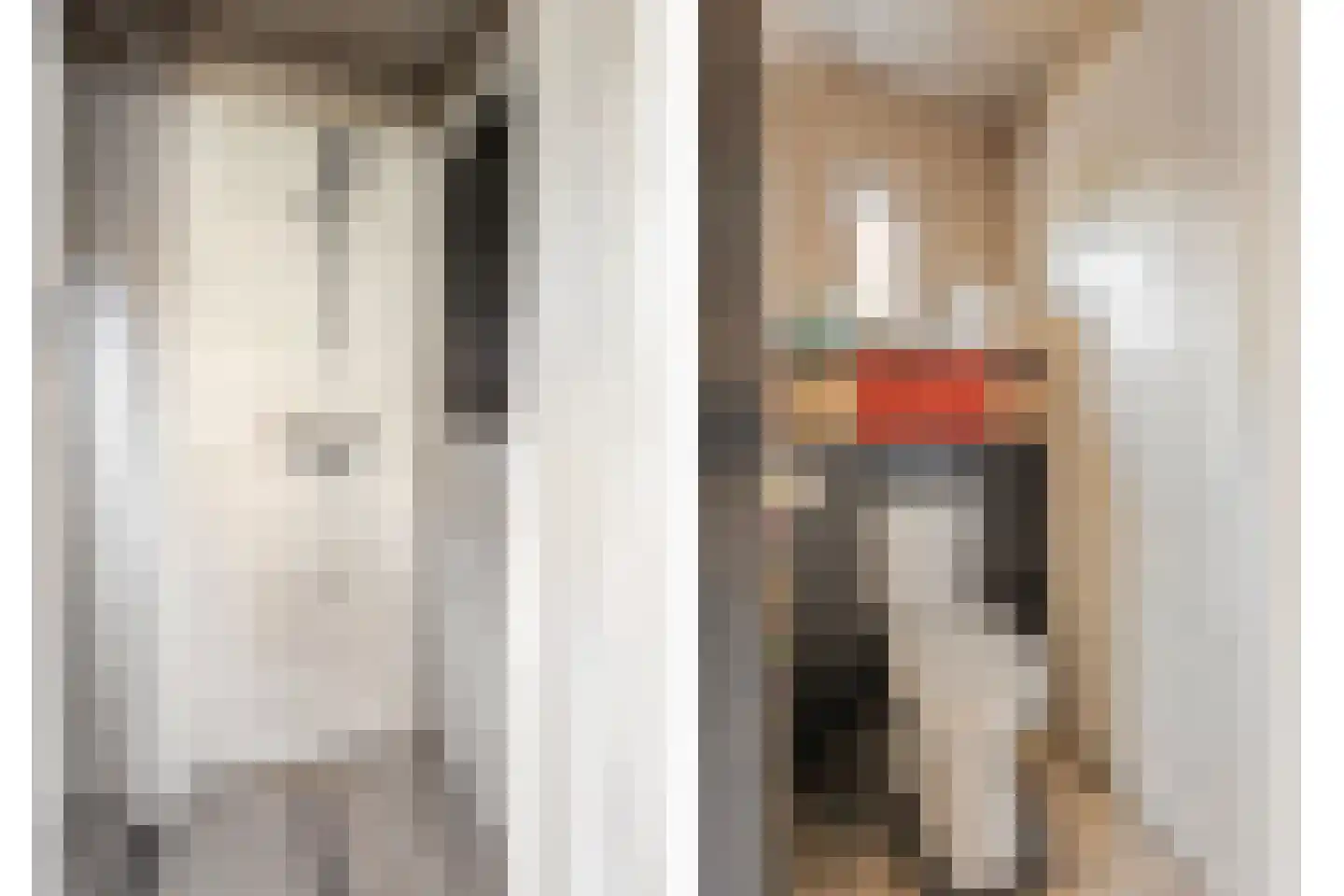 Molestrjitte 17 Berltsum thumbnail 11