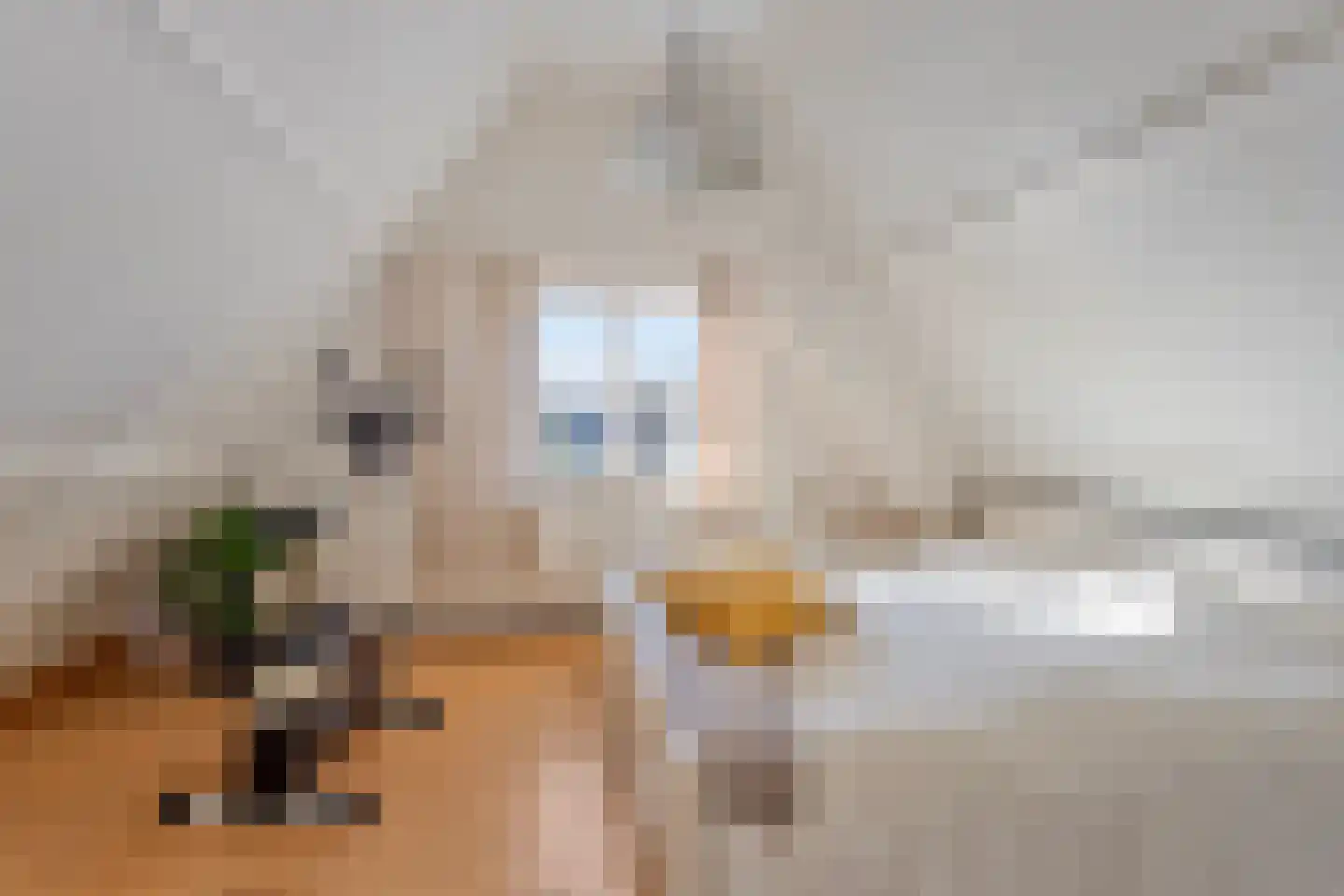 Molestrjitte 17 Berltsum thumbnail 14