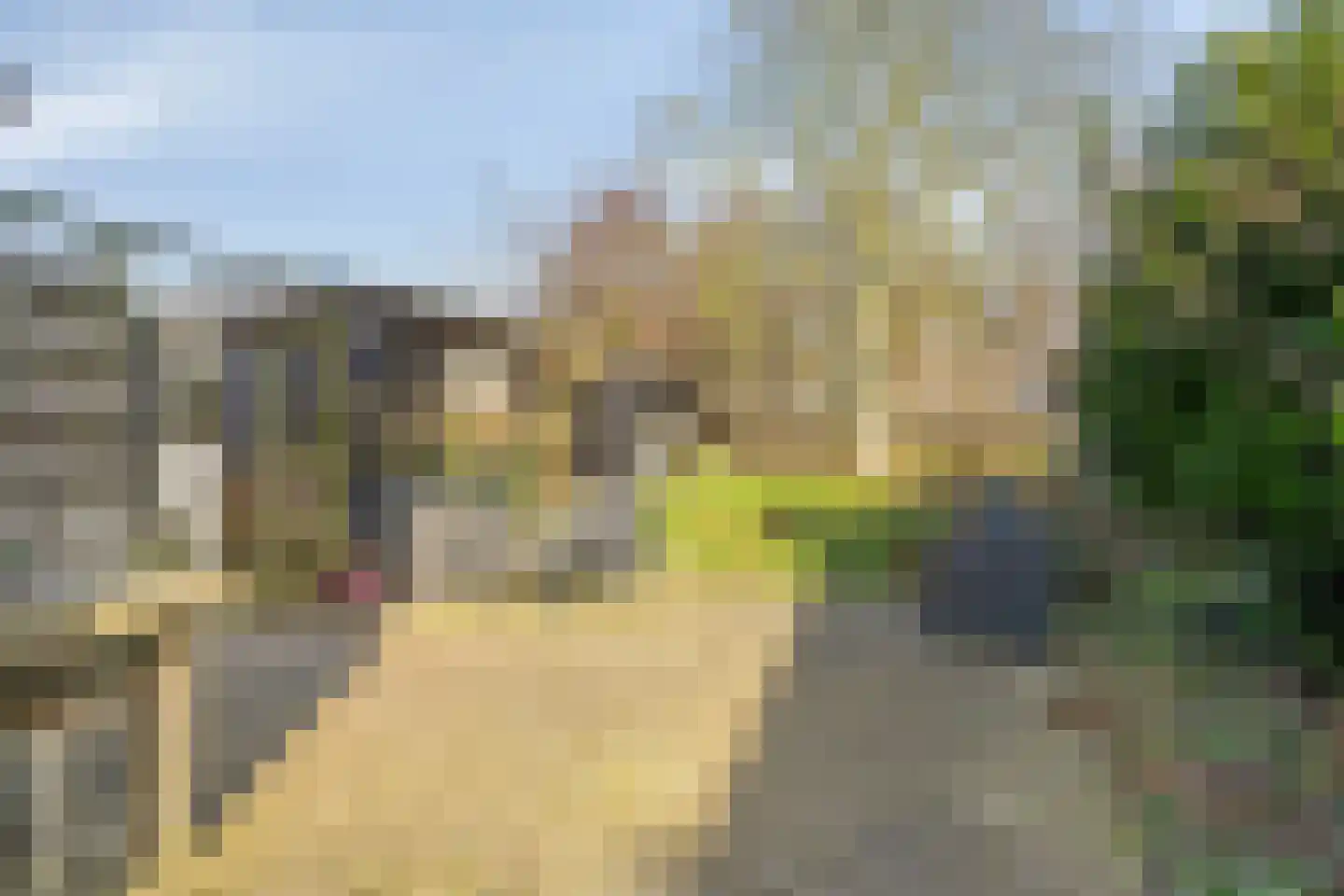 Molestrjitte 17 Berltsum thumbnail 21
