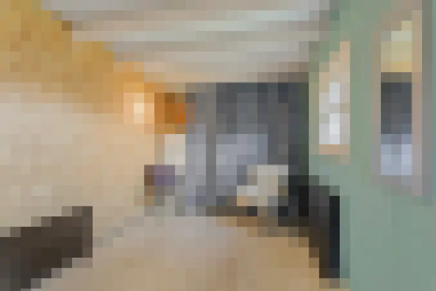 Molestrjitte 17 Berltsum thumbnail 27