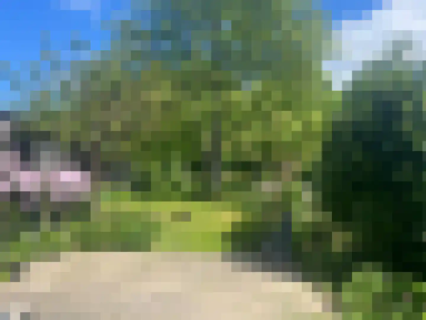 Molestrjitte 17 Berltsum thumbnail 29