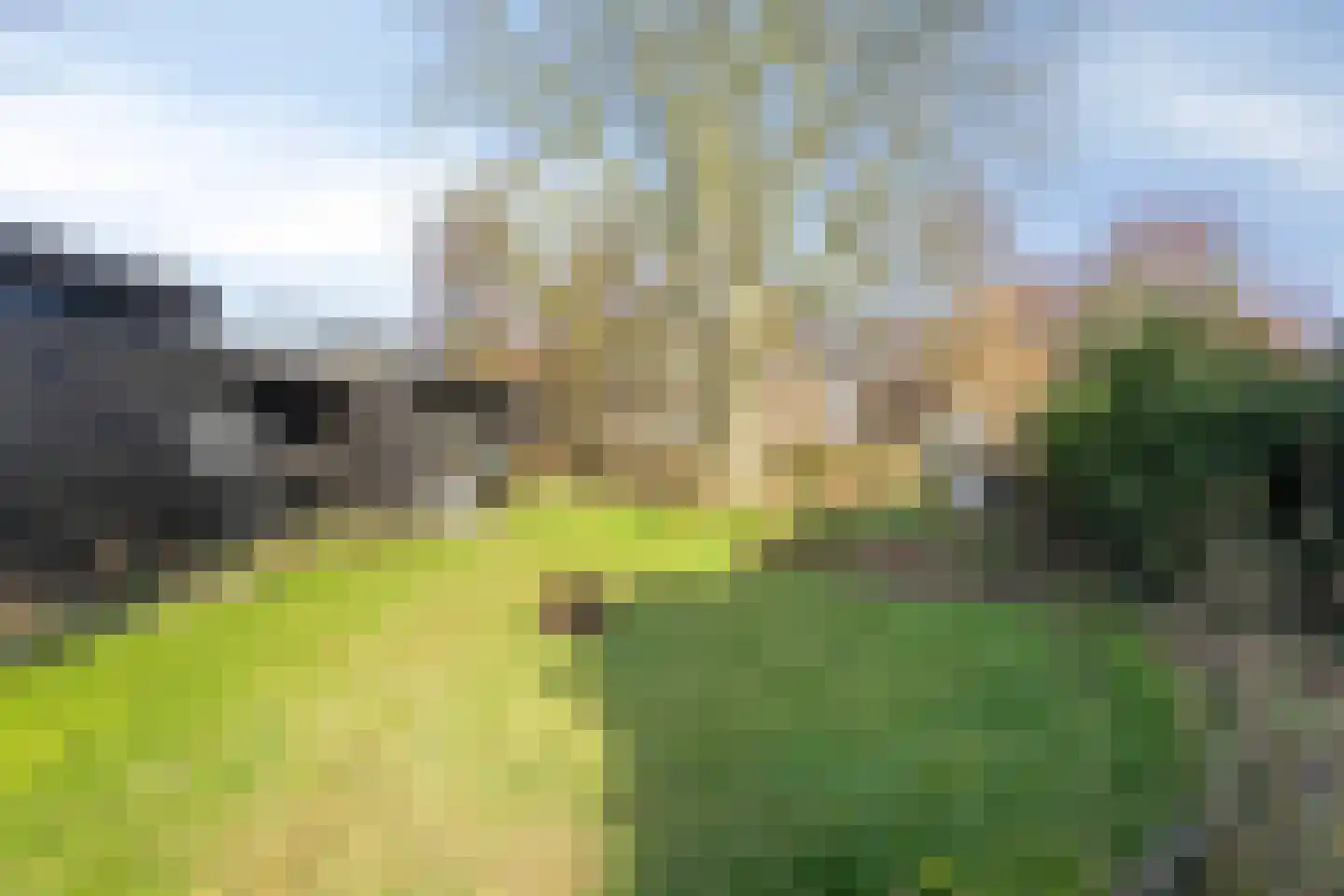Molestrjitte 17 Berltsum thumbnail 30