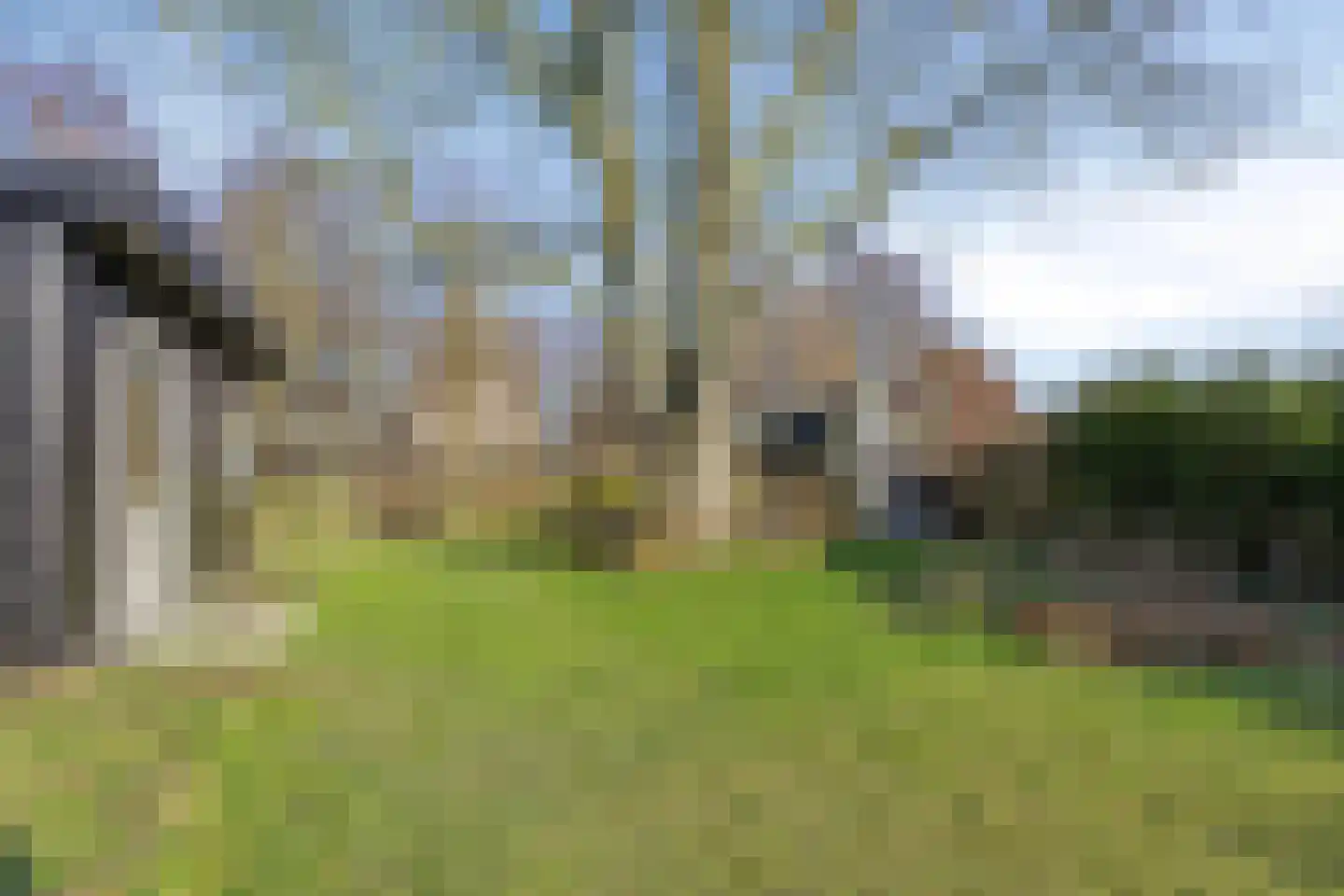 Molestrjitte 17 Berltsum thumbnail 31