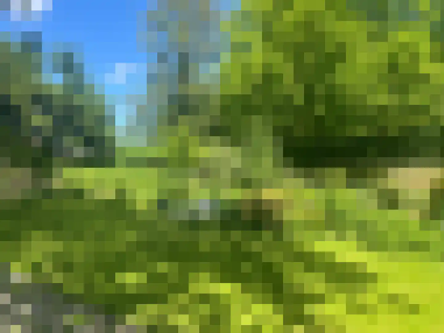 Molestrjitte 17 Berltsum thumbnail 33