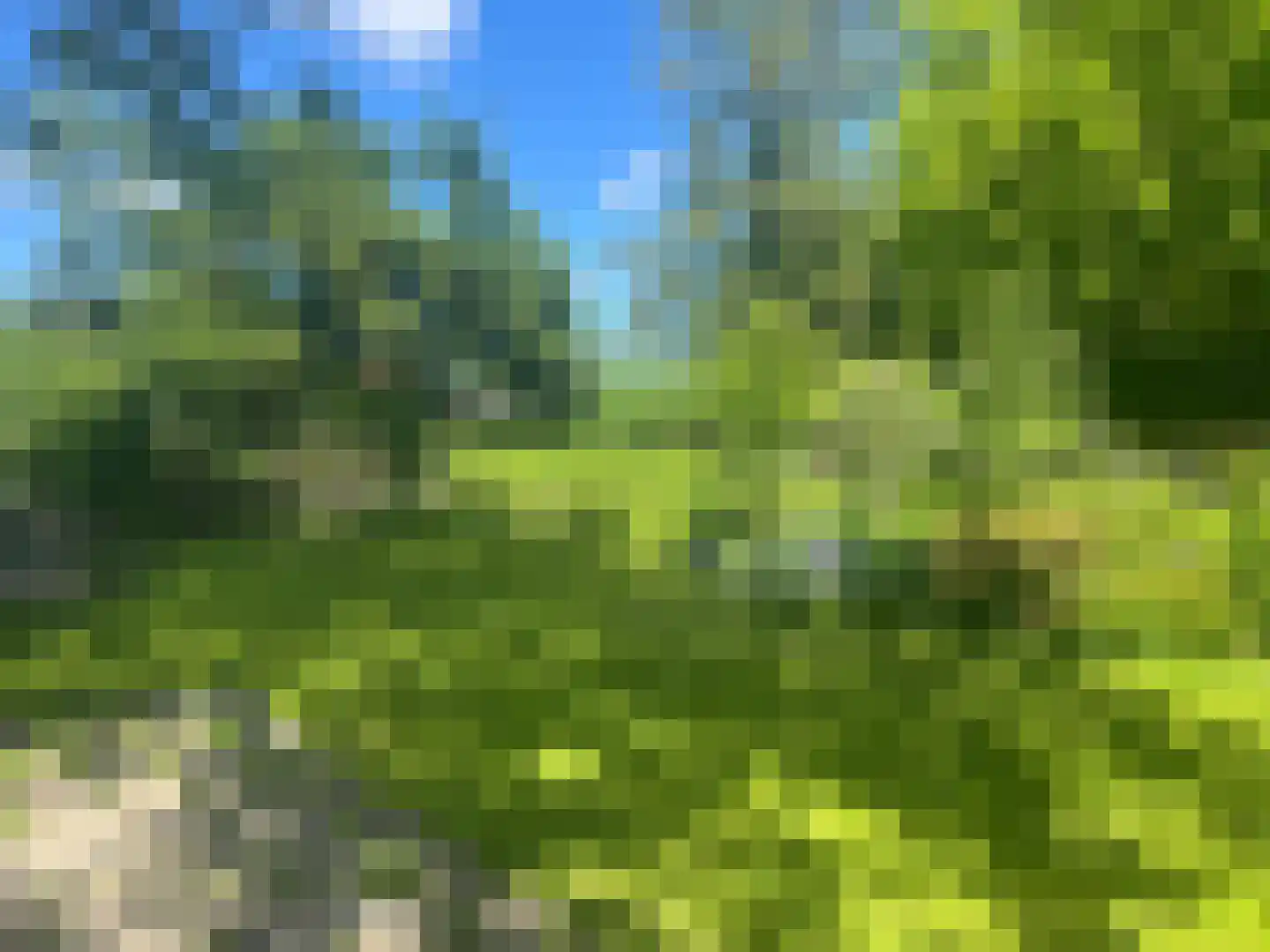 Molestrjitte 17 Berltsum thumbnail 34