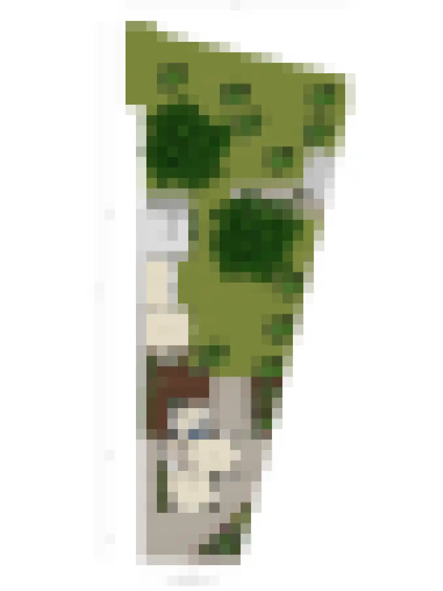 Molestrjitte 17 Berltsum thumbnail 46