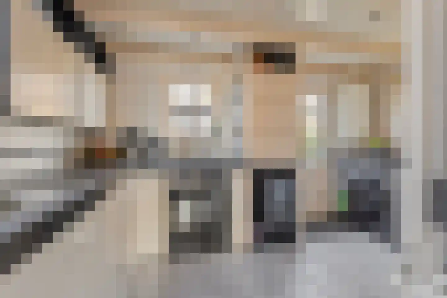 Molestrjitte 17 Berltsum thumbnail 9
