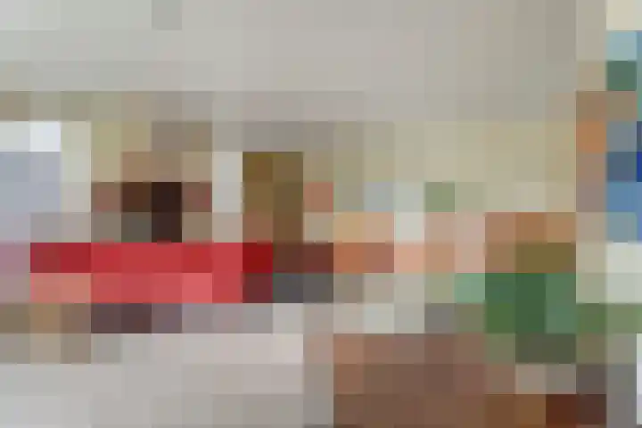 Molestrjitte 21 Woudsend thumbnail 10