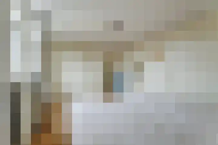 Molestrjitte 21 Woudsend thumbnail 19