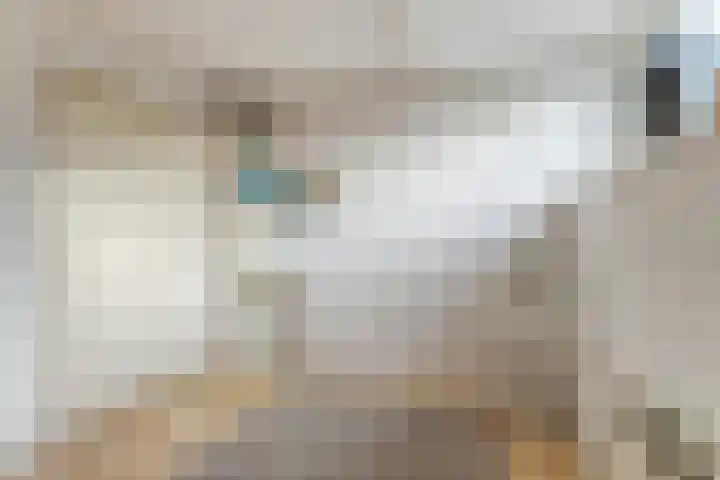 Molestrjitte 21 Woudsend thumbnail 21