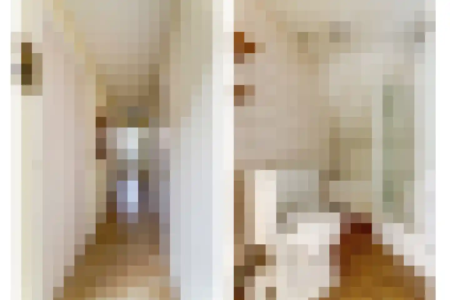 Molestrjitte 21 Woudsend thumbnail 22