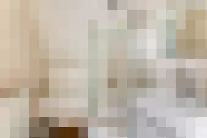 Molestrjitte 21 Woudsend thumbnail 23