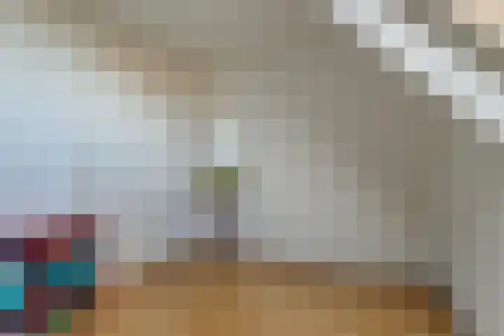 Molestrjitte 21 Woudsend thumbnail 24