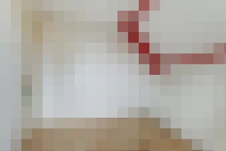 Molestrjitte 21 Woudsend thumbnail 25