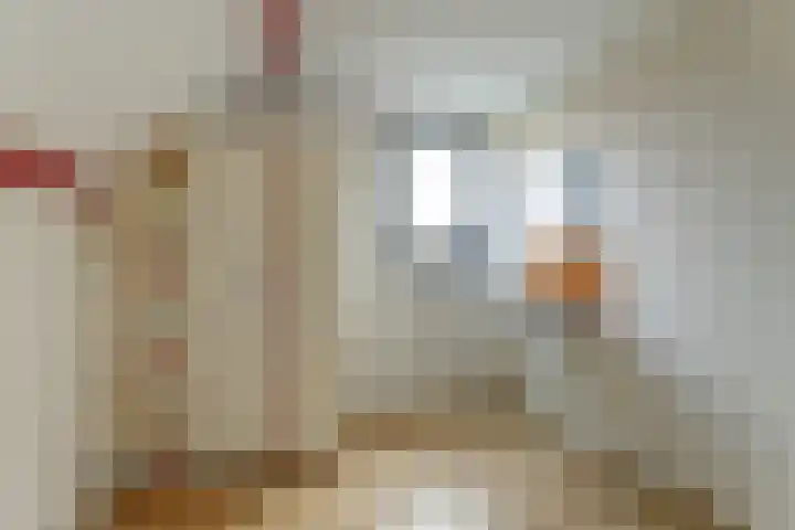 Molestrjitte 21 Woudsend thumbnail 26