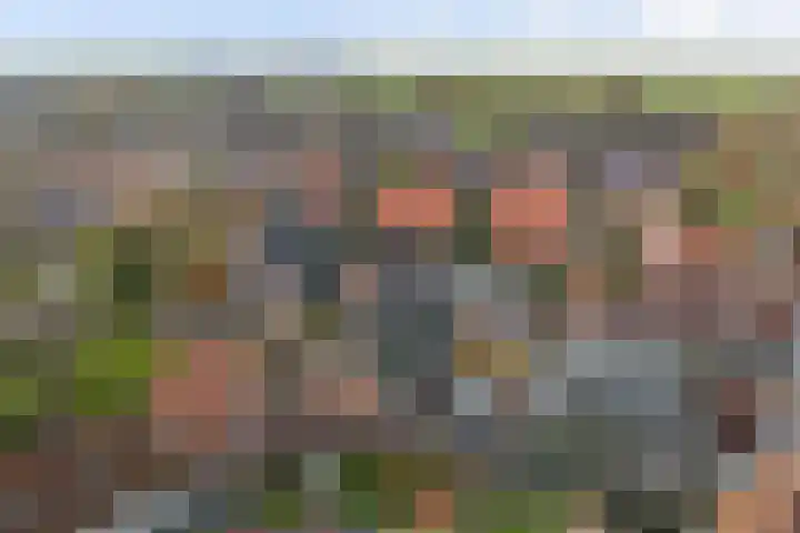 Molestrjitte 21 Woudsend thumbnail 27