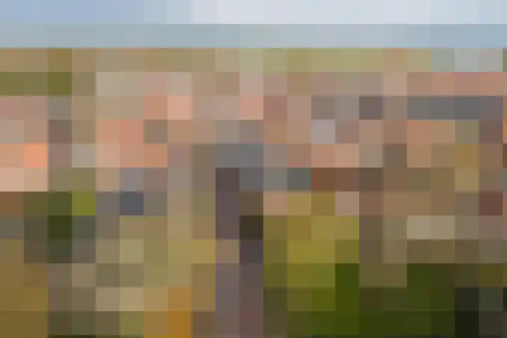 Molestrjitte 21 Woudsend thumbnail 28