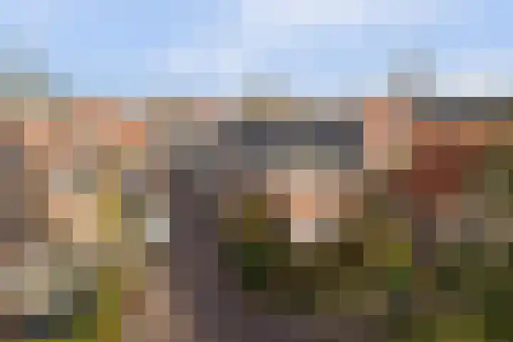 Molestrjitte 21 Woudsend thumbnail 29