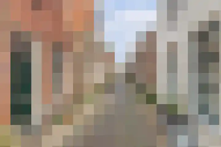 Molestrjitte 21 Woudsend thumbnail 31