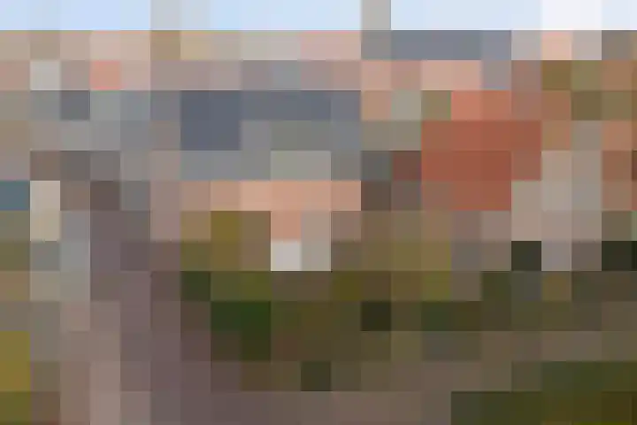 Molestrjitte 21 Woudsend thumbnail 5