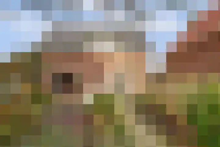 Molestrjitte 21 Woudsend thumbnail 7