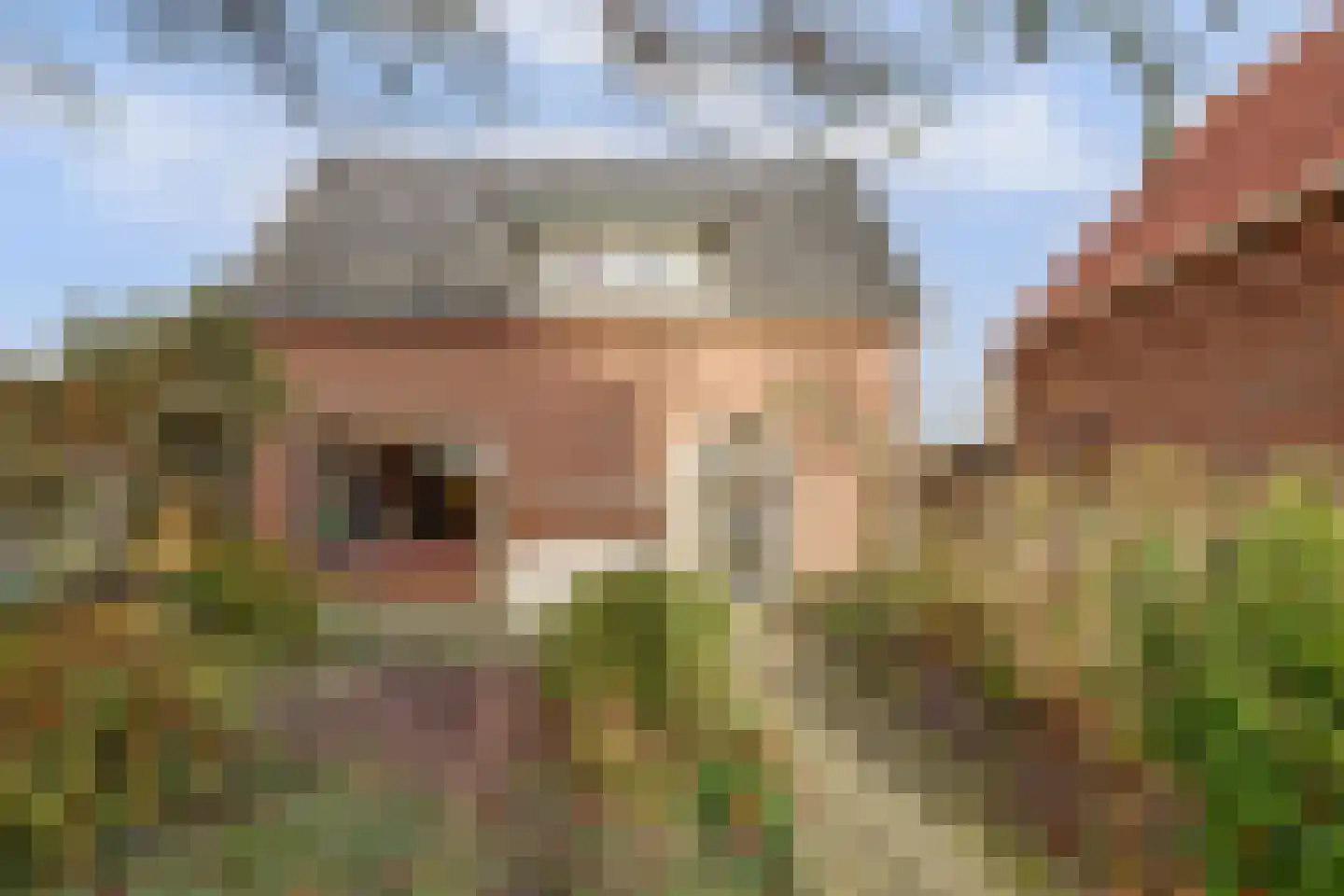 Molestrjitte 21 Woudsend thumbnail 7