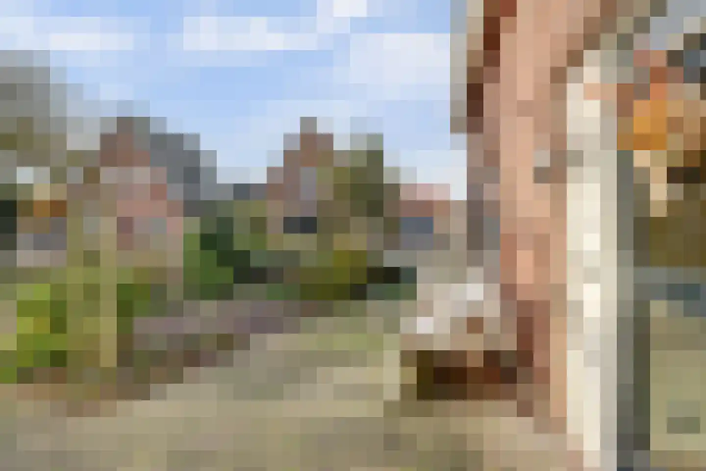 Molestrjitte 21 Woudsend thumbnail 8