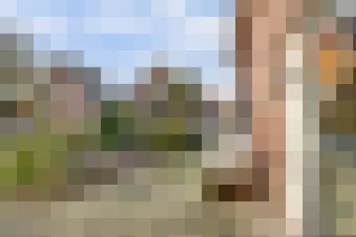 Molestrjitte 21 Woudsend thumbnail 8