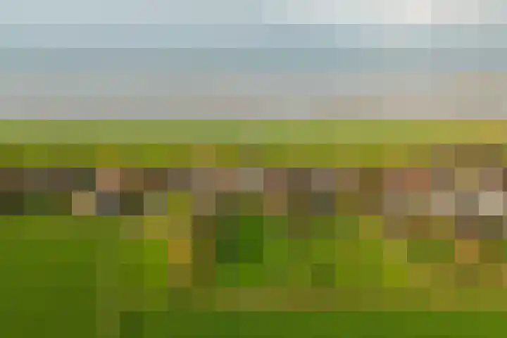 Molgerdijk 35 Den Oever