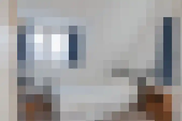 Molgerdijk 35 Den Oever thumbnail 15