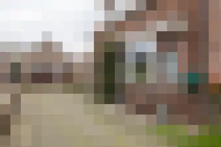Molgerdijk 35 Den Oever thumbnail 21