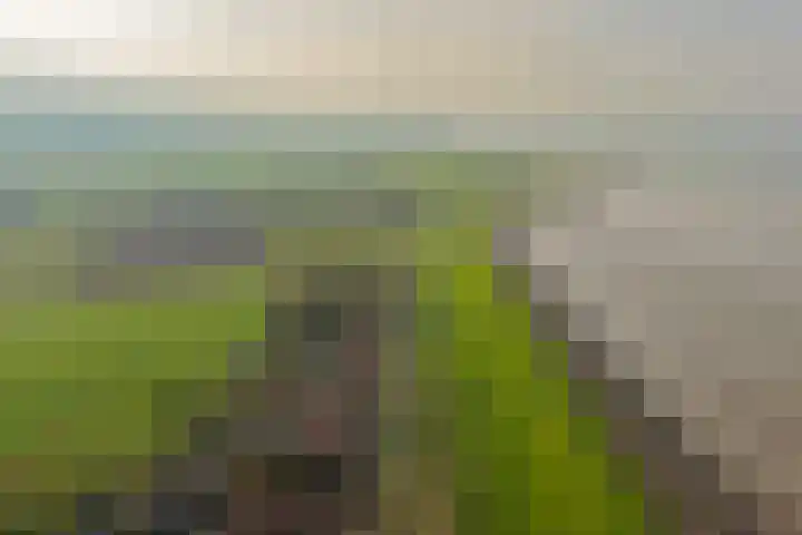 Molgerdijk 35 Den Oever thumbnail 25