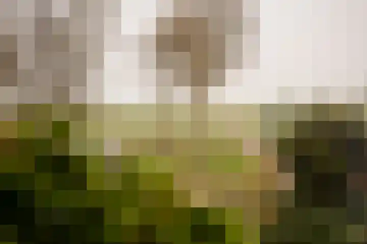 Molgerdijk 35 Den Oever thumbnail 26