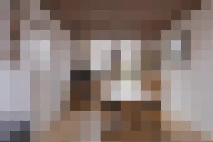 Molgerdijk 35 Den Oever thumbnail 9