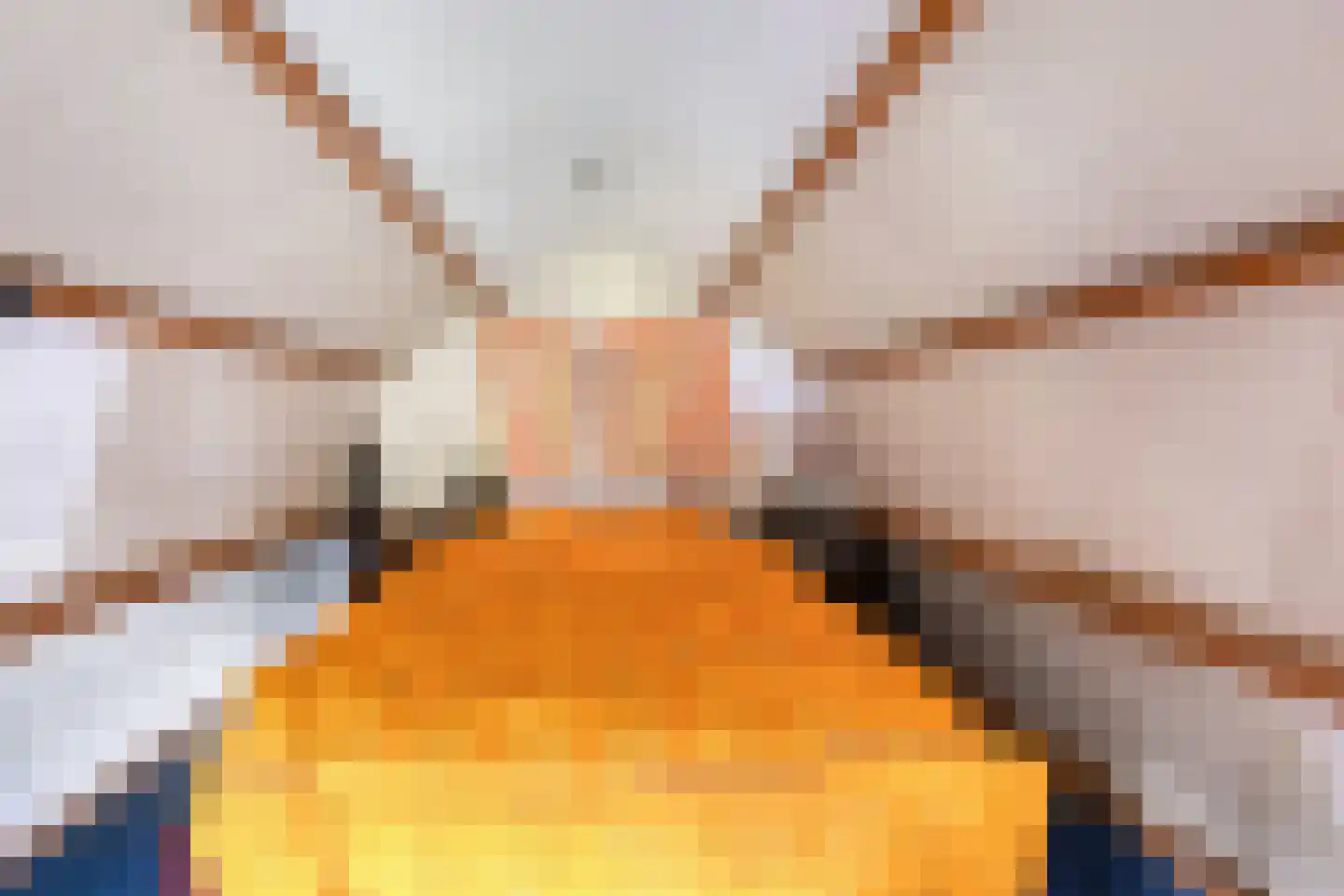 Molgerdijk 39 Den Oever thumbnail 18