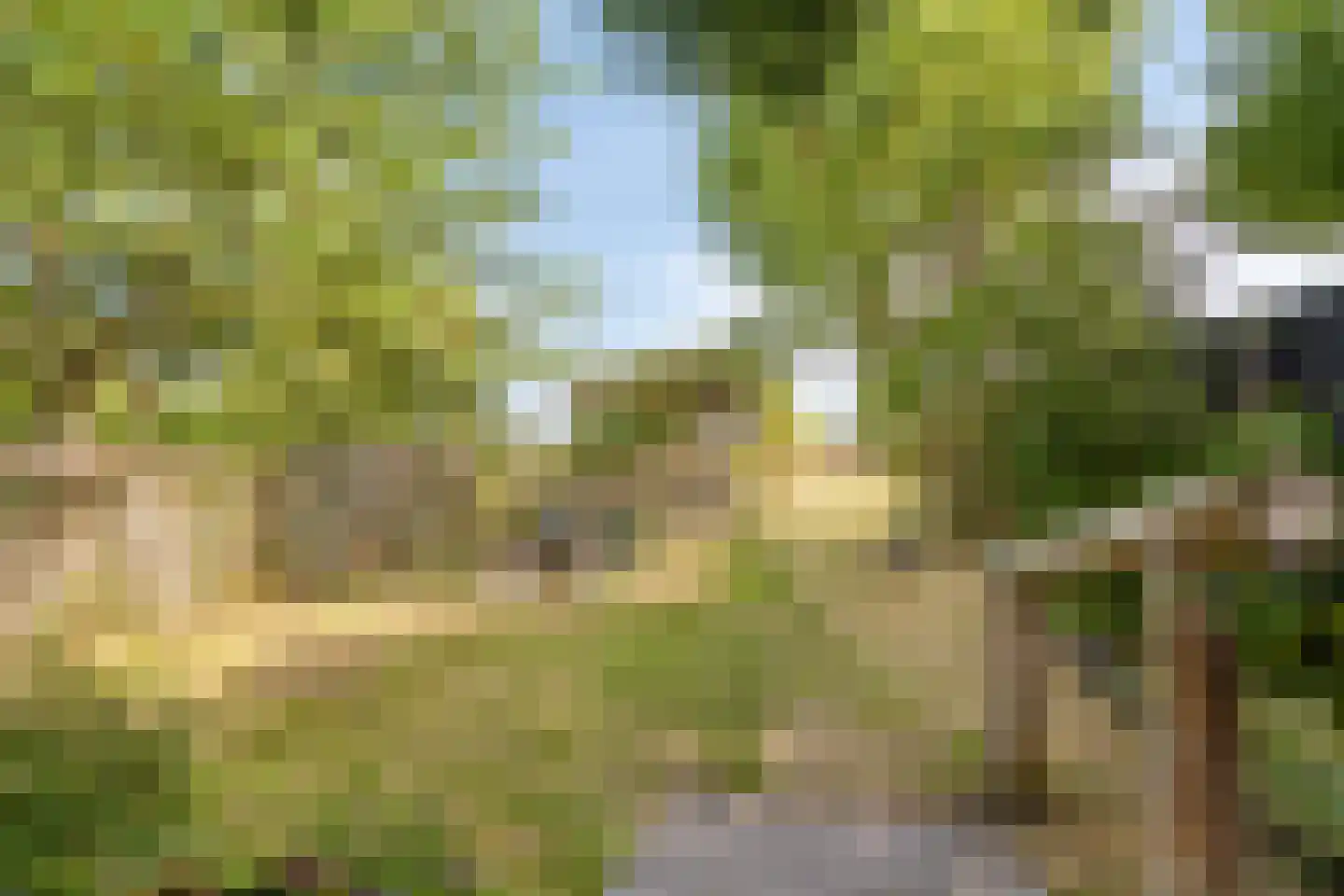 Molgerdijk 39 Den Oever thumbnail 32