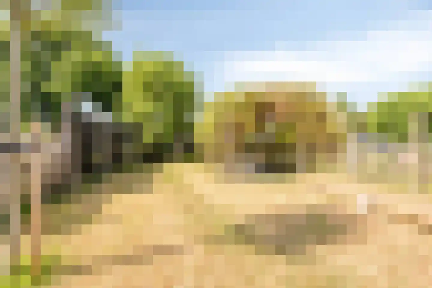 Molgerdijk 39 Den Oever thumbnail 33