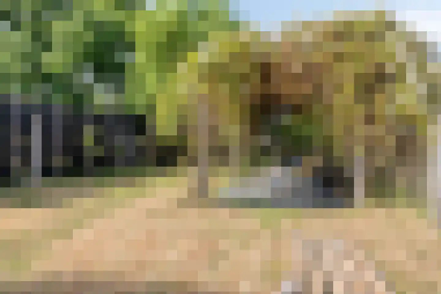 Molgerdijk 39 Den Oever thumbnail 34