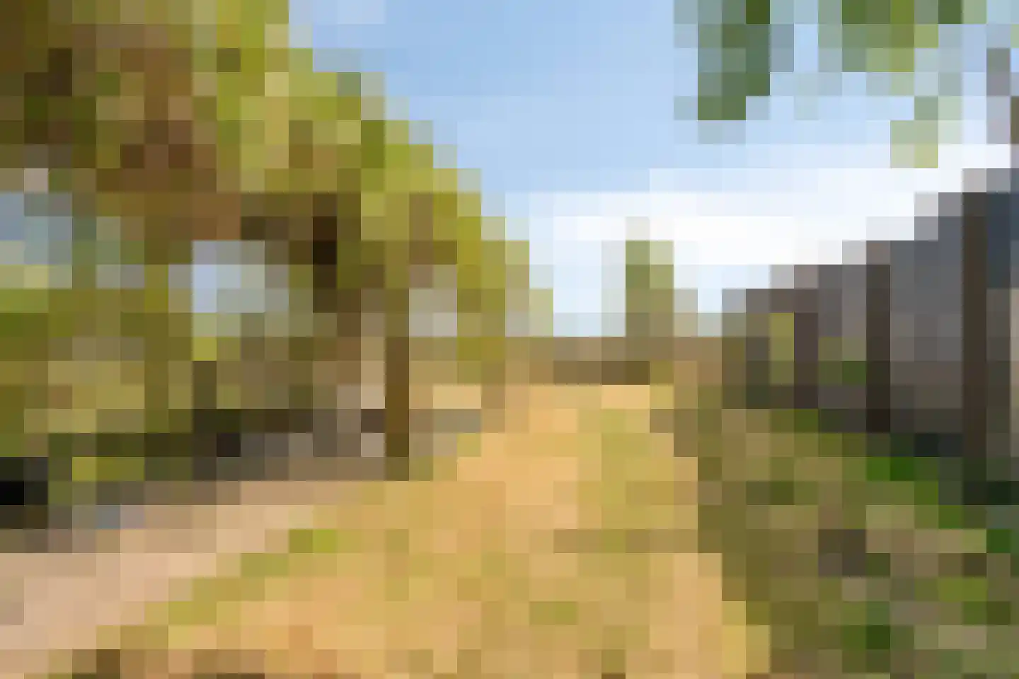 Molgerdijk 39 Den Oever thumbnail 35