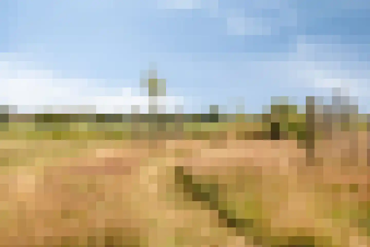 Molgerdijk 39 Den Oever thumbnail 36