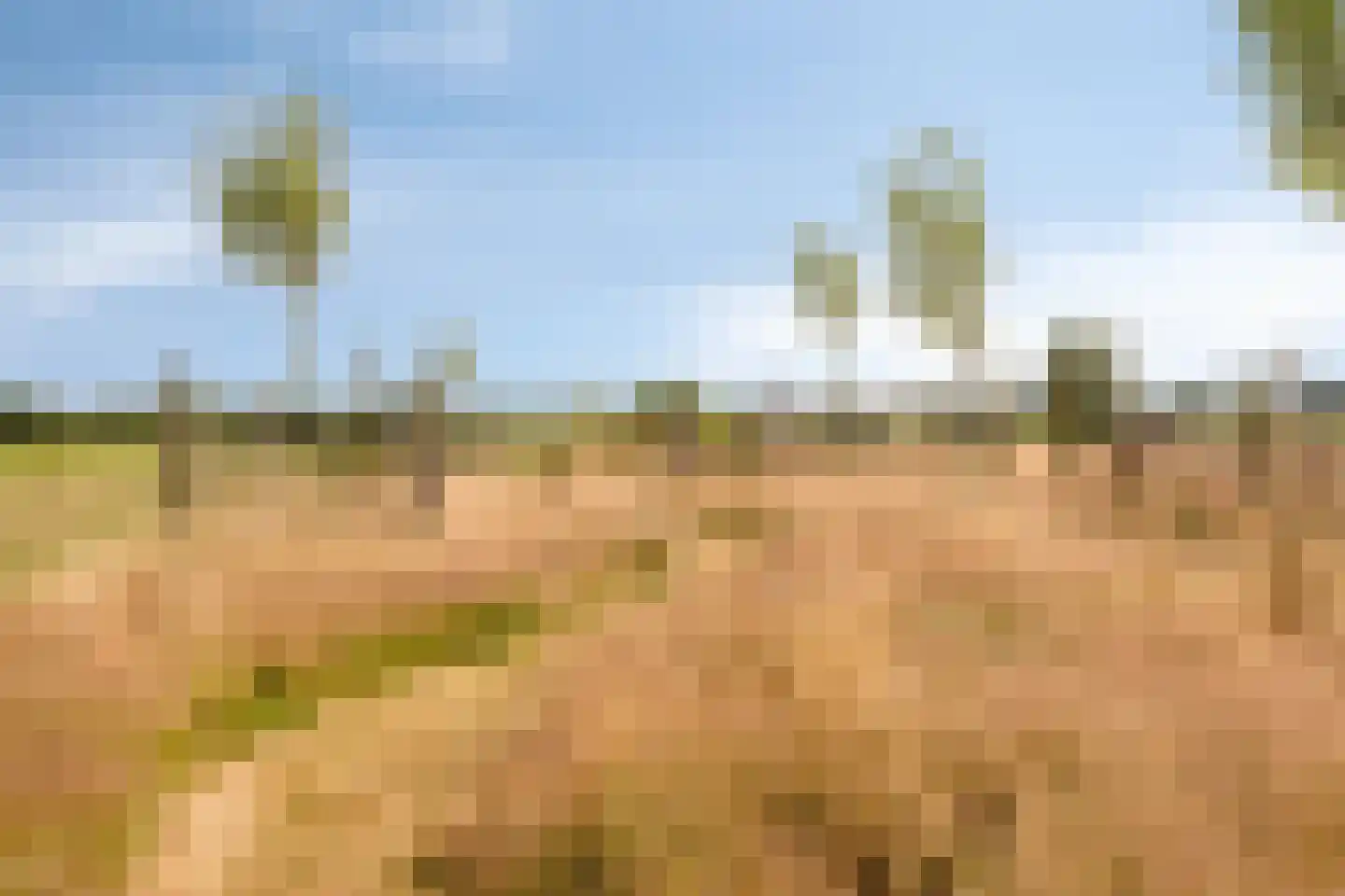 Molgerdijk 39 Den Oever thumbnail 37