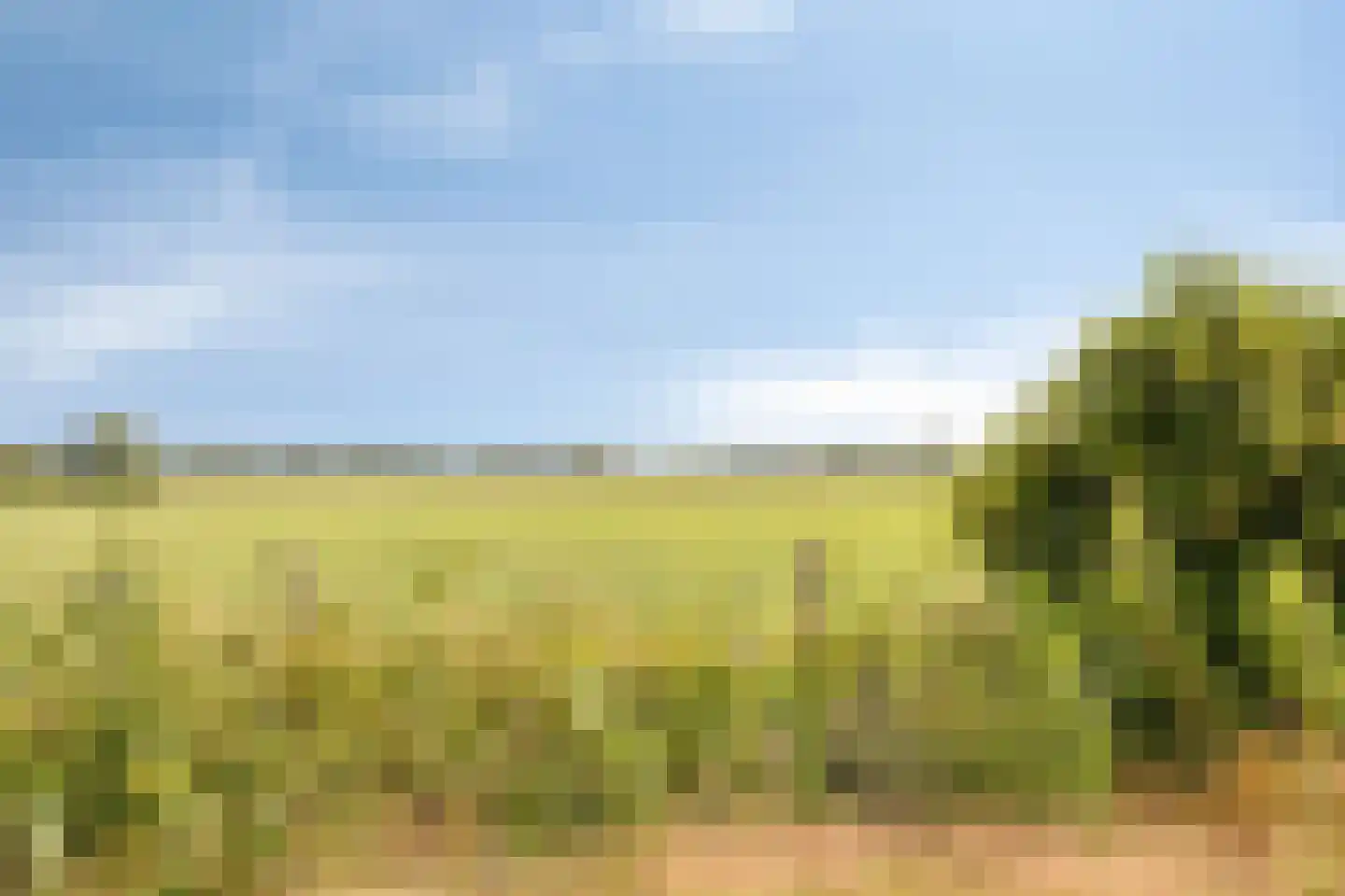 Molgerdijk 39 Den Oever thumbnail 38