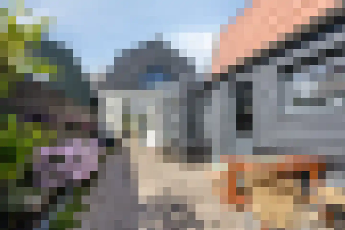 Molgerdijk 39 Den Oever thumbnail 4
