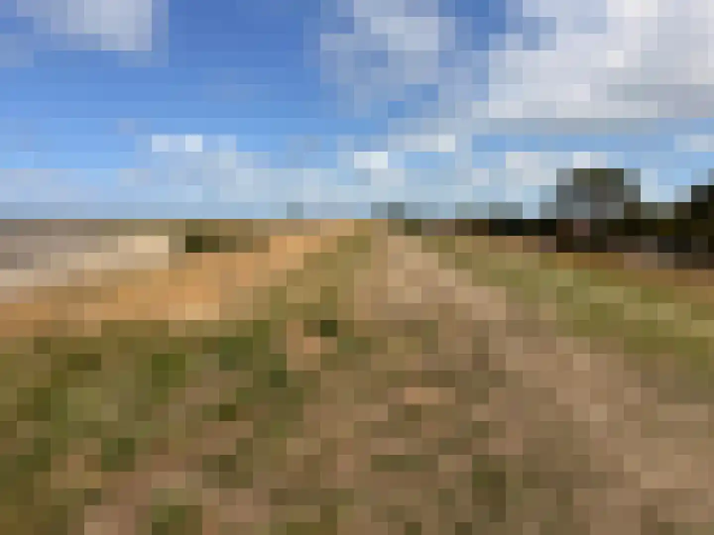 Molgerdijk 39 Den Oever thumbnail 43