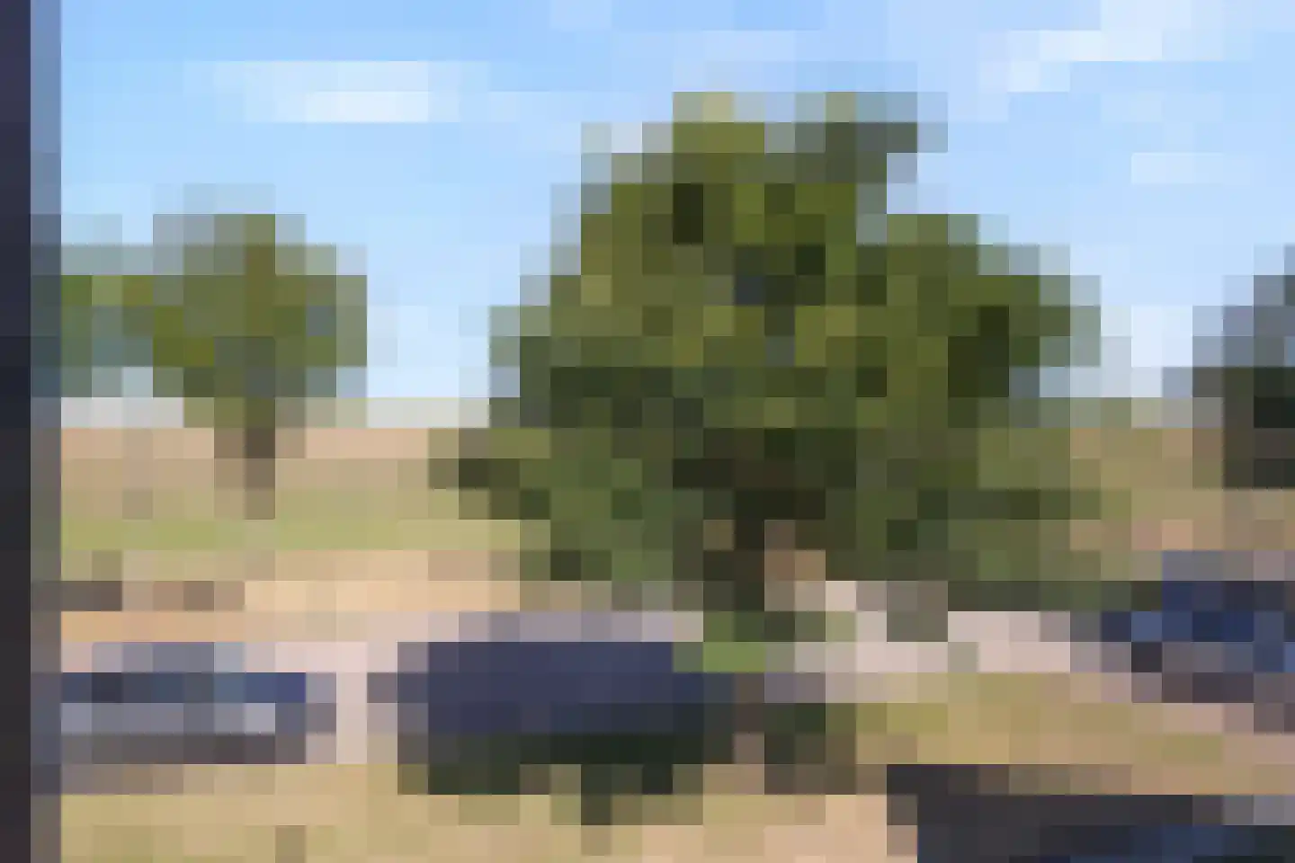 Molgerdijk 79 Den Oever thumbnail 27