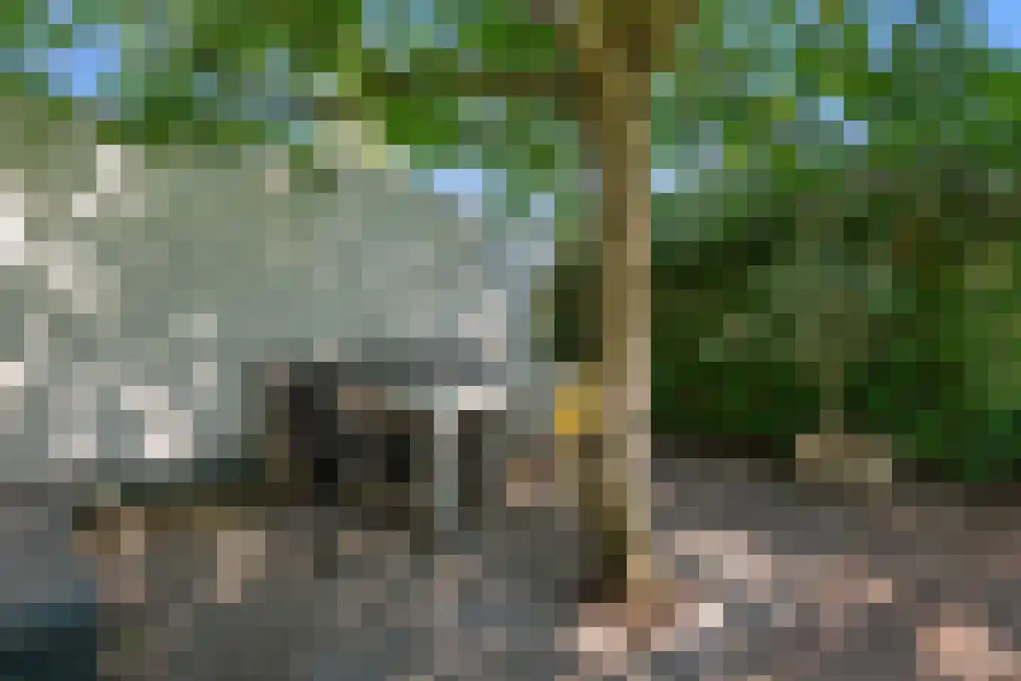 Molhuysensingel 9 Vught thumbnail 52