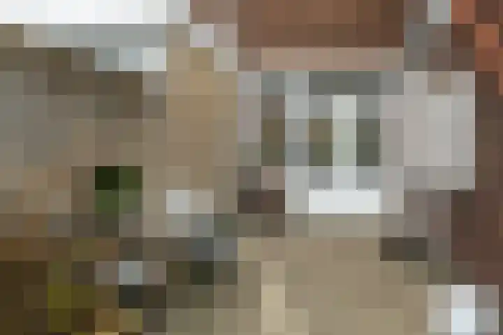 Molhuysenstraat 7 Vught thumbnail 32