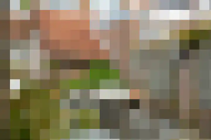 Molhuysenstraat 7 Vught thumbnail 33
