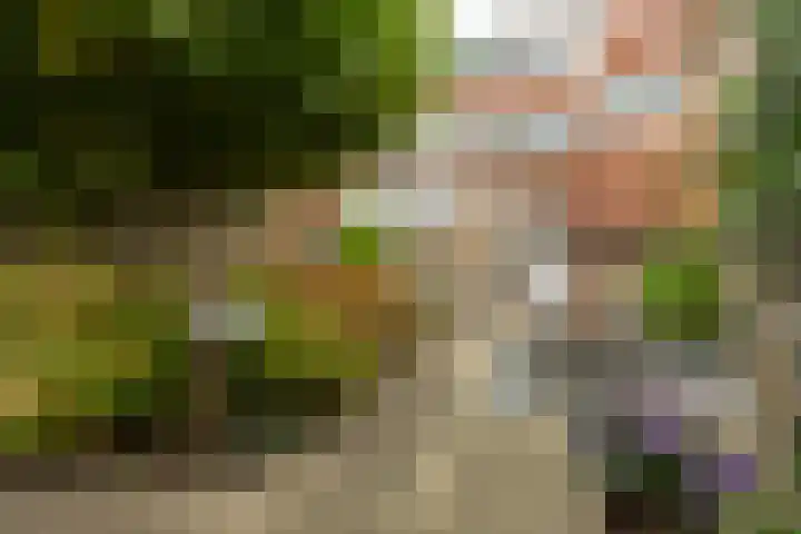 Molhuysenstraat 7 Vught thumbnail 35