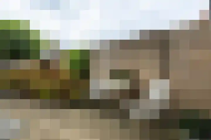 Molhuysenstraat 7 Vught thumbnail 37